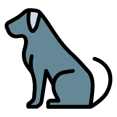Pet@4x